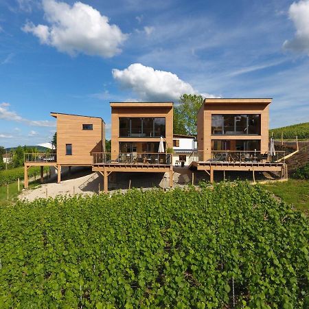 Cottages Antoinette Chigny-les-Roses Экстерьер фото