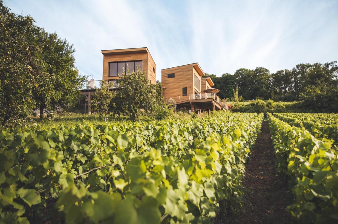 Cottages Antoinette Chigny-les-Roses Экстерьер фото