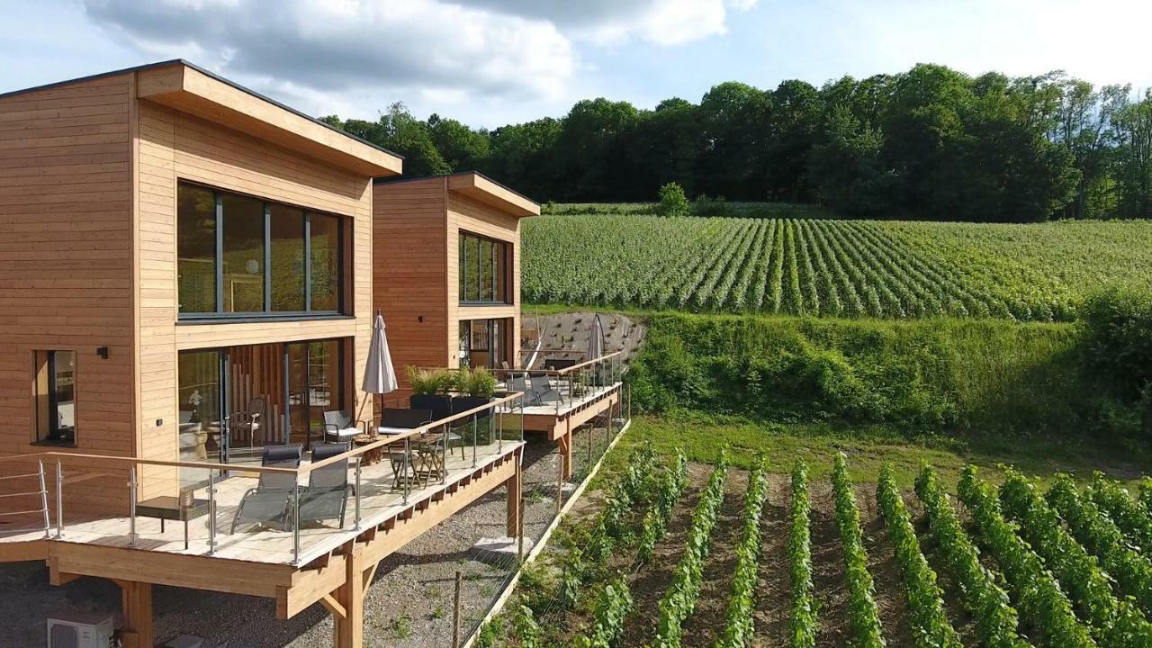 Cottages Antoinette Chigny-les-Roses Экстерьер фото