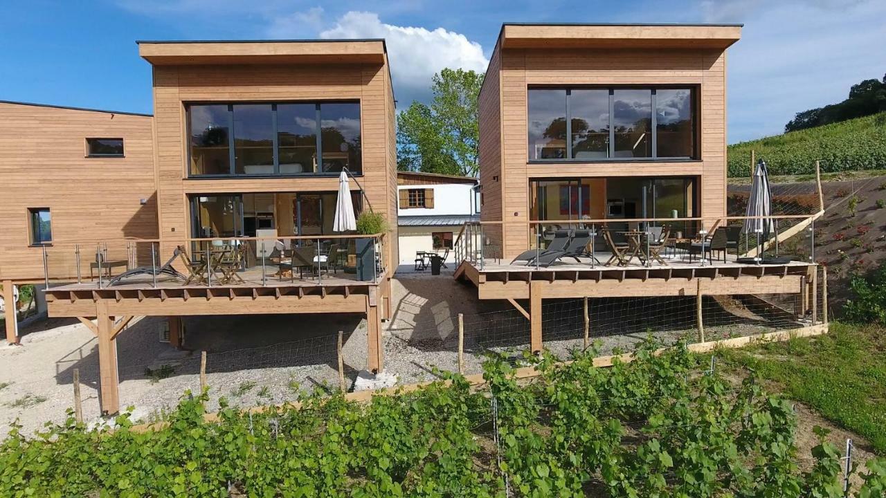 Cottages Antoinette Chigny-les-Roses Экстерьер фото